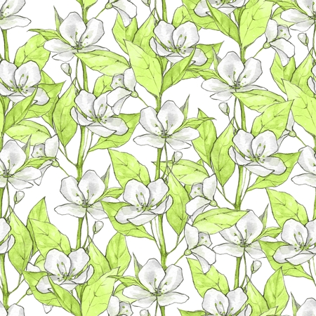 Floral seamless pattern. Watercolor background with white flowers and green leavesの写真素材