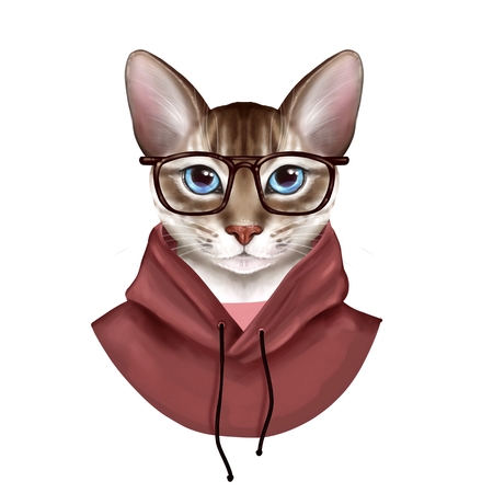 Dressed up cat. Cute digital illustration isolated on whiteの写真素材