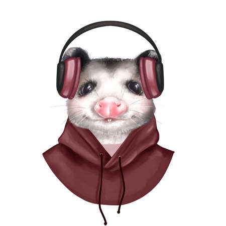Opossum portrait on white. Cute animal illustration