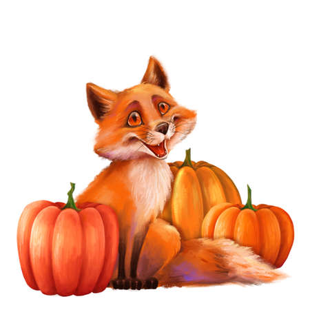 Cute orange fox and pumpkins. Isolated on whiteの写真素材