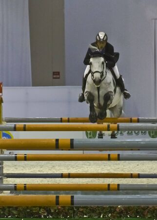 horse fair 2010 Milan Italyのeditorial素材