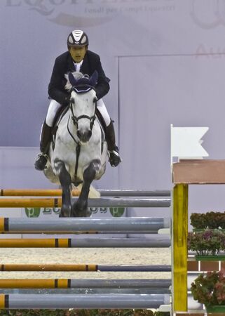 horse fair 2010 milan italyのeditorial素材