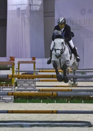 horse fair 2010 milan italyのeditorial素材