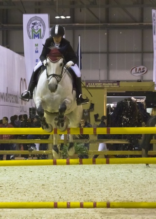 horse fair 2010 milan italyのeditorial素材