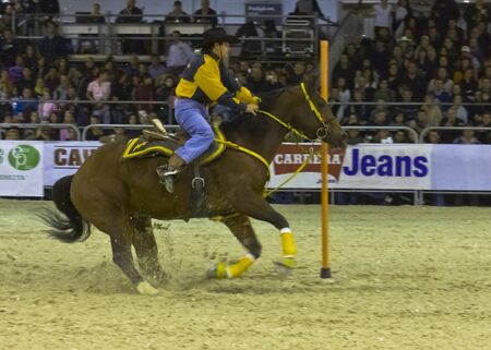 horse fair 2010 milan italyのeditorial素材