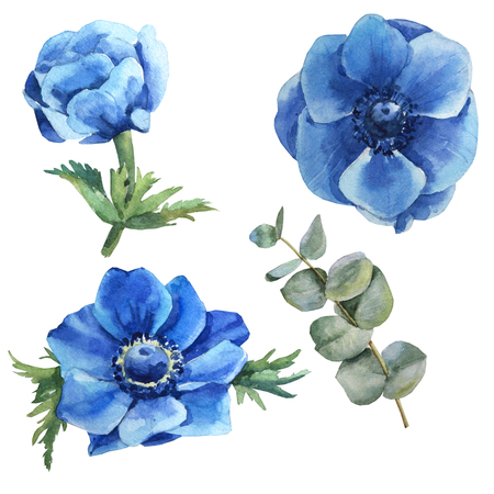 Watercolor blue flower set with leaves, iris, anemone, branchの写真素材