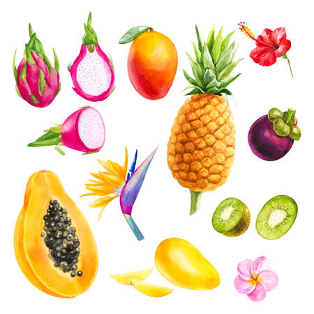 Watercolor fruits. Hand painting set on white backgroungの写真素材