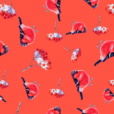 Watercolor Christmas seamless pattern with holiday symbols. Hand painted bullfinch with rowan on colorfull red backgroundの写真素材
