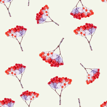 Rowan berries Medicinal forest plants with watercolor on a light yellow background.の写真素材