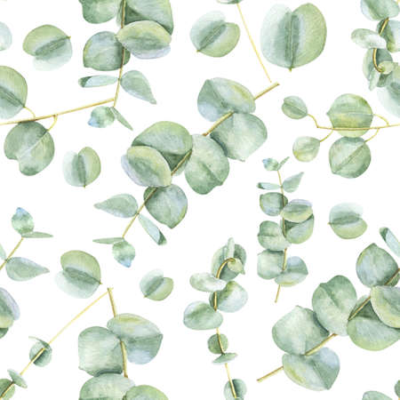 Watercolor seamless pattern with eucalyptus leaves and branches. Background for textile, paper and other print and web projects.の写真素材