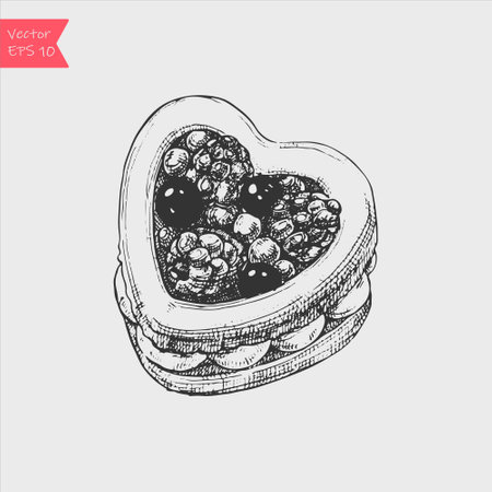 Hand drawn engraved cake with berries. Vector illustration for designのイラスト素材