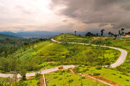curly road with green field in nepal