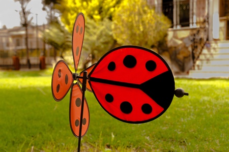 Sweet  ladybird weathercock in the green gardenの写真素材
