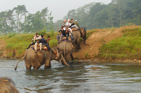 CHITWAN, NEPAL - OCTOBER 27, 2014: Elephants crossing the river at Elephant safari tour Chitwan National Park. Chitwan National Park was established in 1973 and granted the status of a World Heritage Site in 1984.のeditorial素材