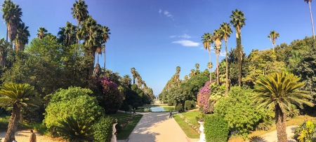 ALGIERS, ALGERIA - SEP 24, 2016: Old trees in Botanical Garden of Hamma in Algiers. It was established in 1832 and is now still considered one of the most important botanical gardens in the worldのeditorial素材