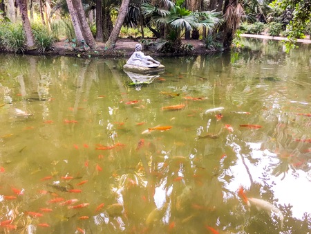 ALGIERS, ALGERIA - SEP 24, 2016:Colorfull fishes in Botanical Garden of Hamma in Algiers.It was established in 1832 and is now still considered one of the most important botanical gardens in the worldのeditorial素材