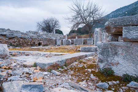 Selcuk, Izmir, Turkey - 03.09.2021: Hydrekdocheion water palace in Ephesus ruins, historical ancient...