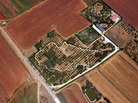 Drone Aerial photo of woodland in Cyherbia. Cypress trees form the outline of the Cyprus islandの写真素材