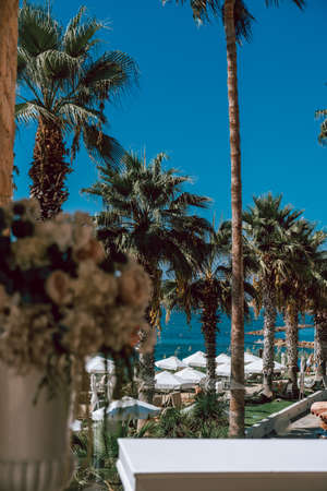 Wedding Decor, vase with white flowers with palm and bleu sky viewの写真素材