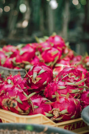 Close up Shot of exotic pink Dragon fruit in Cyprus with green leaves, tropicalの写真素材