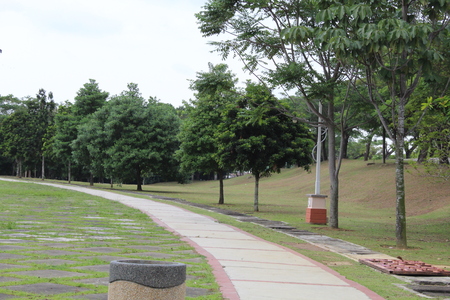 Pathway road in a green park in Johor, Malaysia, curved roadの写真素材