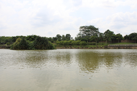 A Pleasant View of a Natural Pond in Malaysia. Trees are in the Middle Background.の写真素材