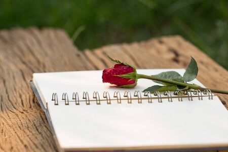 notepad and red rose on wooden backgroundの写真素材