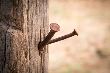 Rusty nail in woodの写真素材