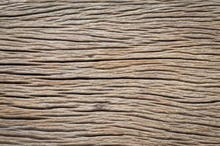 Old wood texture