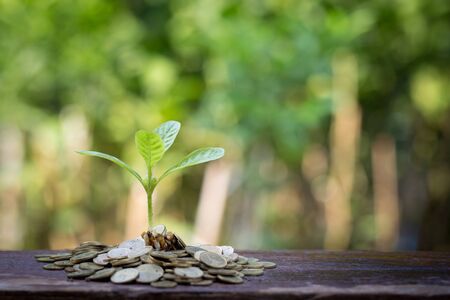 Plant growing from money jar. Concept of financial investment.の写真素材