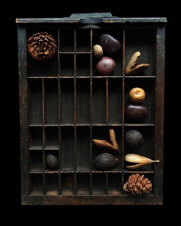 Dry pine cones in Wood box