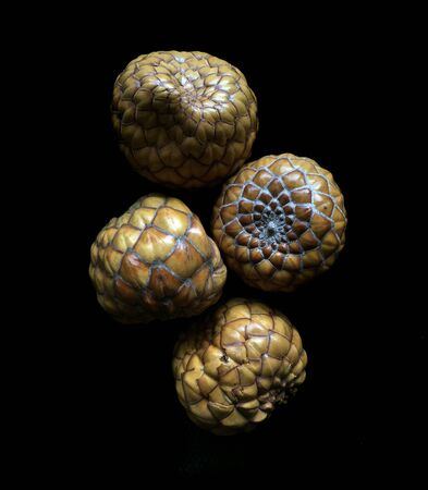 Dry pine conesの写真素材