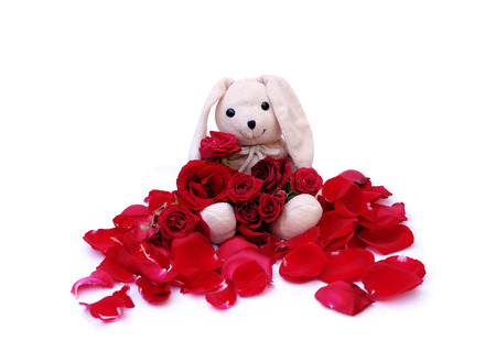 Cute rabbit doll Holds a red roses bouquet for a special someone on a specific day.の写真素材