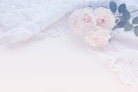 English roses isolated sweet For Valentine's Day, on vintage garden background, For special someone Or enter a message as a gift.の写真素材