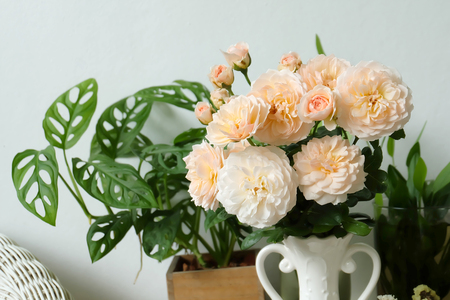 Pink rose petals flowers arrangement isolated on white for valeの写真素材