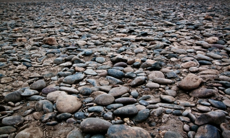  stone