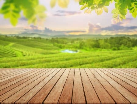 empty wooden desk with blurry tea plantation on hill against evening sky and leave as frame Product display stand conceptの写真素材