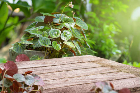 wooden desk in garden with beautiful houseplant and space for product advertismentの写真素材