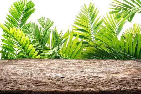 wooden table top with spring green leafs free space for text Product display background conceptの写真素材