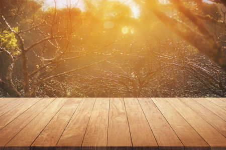 Wooden table top with sunrise in japanese appricot gardenの写真素材