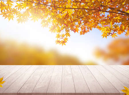 Table desk  and autumn background empty space for your product display