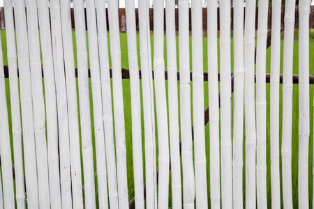 Bamboo background for decoration backgroundの写真素材