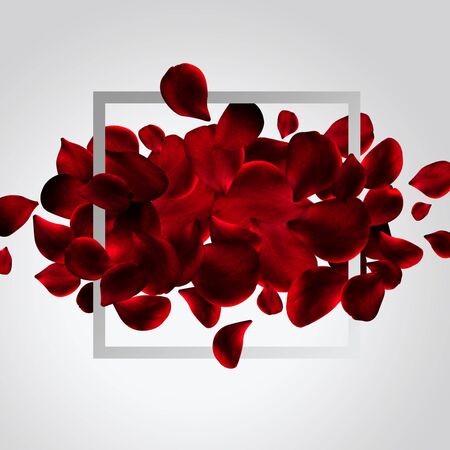 Valentine banners & templates, anniversary invitationsの写真素材