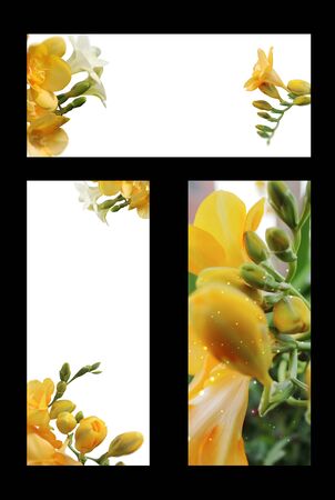flower frame, flower invitationの写真素材