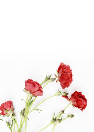 beautiful flower background, invitation card templateの写真素材