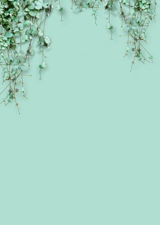 summer frame & banner, summer sale background