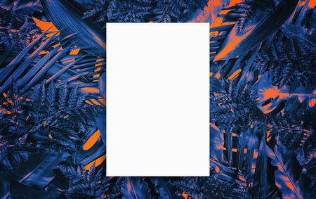 Fluorescent summer background, abstract summer frame & bannerの写真素材