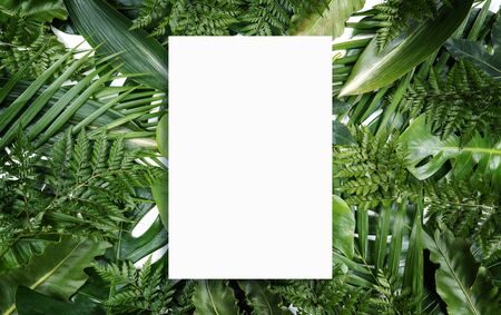 Fluorescent summer background, abstract summer frame & banner