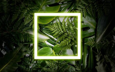 Fluorescent summer background, abstract summer frame & banner