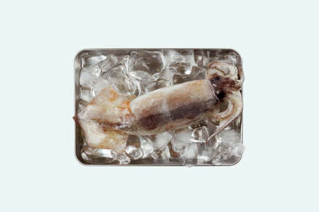 Fresh squid, Delicious squid isolated on color backgroundの写真素材